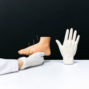 自律神経を整えるツボの位置を示す手と足の経穴模型